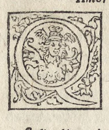 An illustration from Del significato de colori e de mazzolli : operetta, 1545, leaf 43