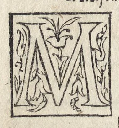 An illustration from Del significato de colori e de mazzolli : operetta, 1545, leaf 43