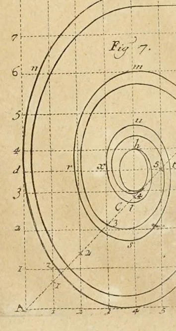 An illustration from Des ordres de colones en l'architecture, et plusieurs aues dependances dicelle, leaf 26