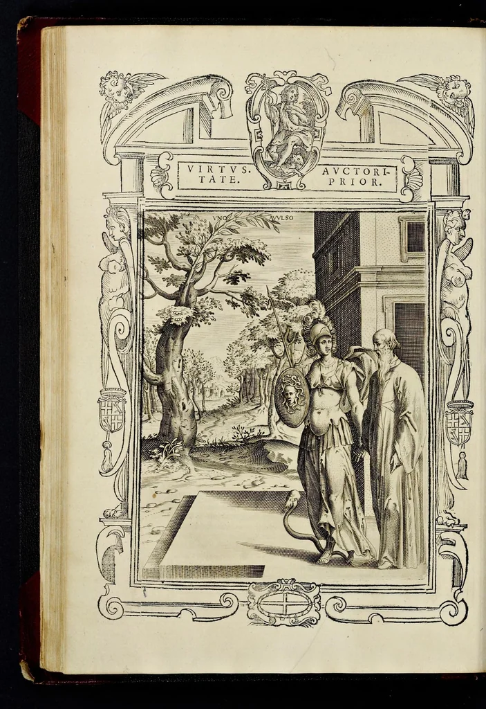 An illustration from Statvta Hospitalis Hiervsalem, 1588, leaf 173