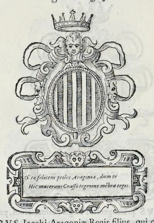 An illustration from Historiarvm seraphicae religionis libri tres, seriem temporum continentes, quibus breui explicantur fundamenta, uniuersiq[ue] ordinis amplificatio, gradus, et instituta; nec non uiri scientia, uirtutibus, et fama praeclari, 1586, leaf 479