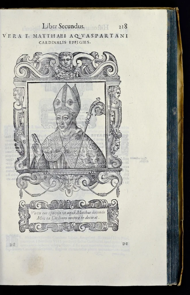 An illustration from Historiarvm seraphicae religionis libri tres, seriem temporum continentes, quibus breui explicantur fundamenta, uniuersiq[ue] ordinis amplificatio, gradus, et instituta; nec non uiri scientia, uirtutibus, et fama praeclari, 1586, leaf 488