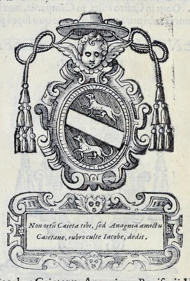 An illustration from Historiarvm seraphicae religionis libri tres, seriem temporum continentes, quibus breui explicantur fundamenta, uniuersiq[ue] ordinis amplificatio, gradus, et instituta; nec non uiri scientia, uirtutibus, et fama praeclari, 1586, leaf 490