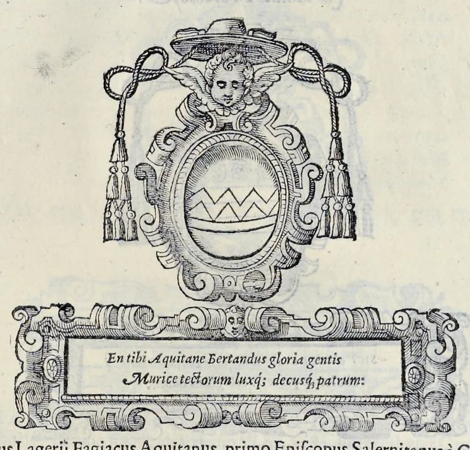An illustration from Historiarvm seraphicae religionis libri tres, seriem temporum continentes, quibus breui explicantur fundamenta, uniuersiq[ue] ordinis amplificatio, gradus, et instituta; nec non uiri scientia, uirtutibus, et fama praeclari, 1586, leaf 498