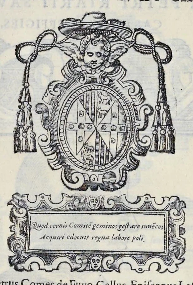 An illustration from Historiarvm seraphicae religionis libri tres, seriem temporum continentes, quibus breui explicantur fundamenta, uniuersiq[ue] ordinis amplificatio, gradus, et instituta; nec non uiri scientia, uirtutibus, et fama praeclari, 1586, leaf 502