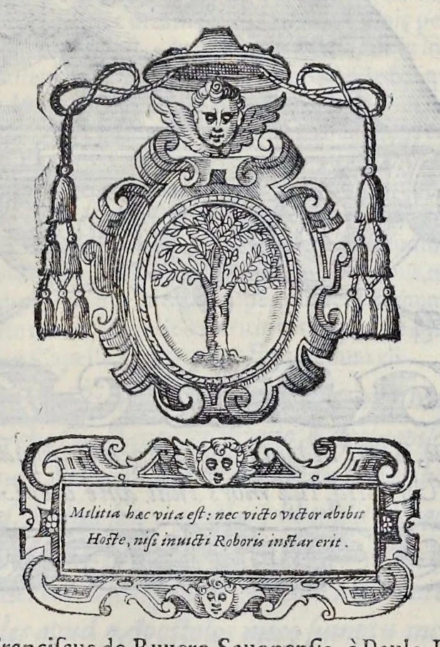 An illustration from Historiarvm seraphicae religionis libri tres, seriem temporum continentes, quibus breui explicantur fundamenta, uniuersiq[ue] ordinis amplificatio, gradus, et instituta; nec non uiri scientia, uirtutibus, et fama praeclari, 1586, leaf 502