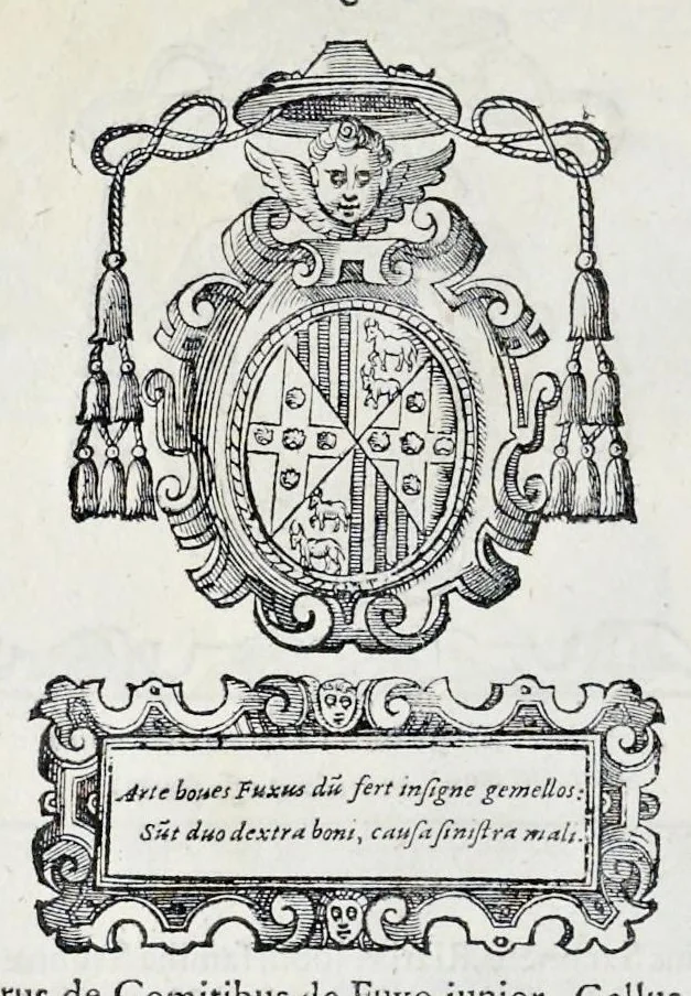 An illustration from Historiarvm seraphicae religionis libri tres, seriem temporum continentes, quibus breui explicantur fundamenta, uniuersiq[ue] ordinis amplificatio, gradus, et instituta; nec non uiri scientia, uirtutibus, et fama praeclari, 1586, leaf 505