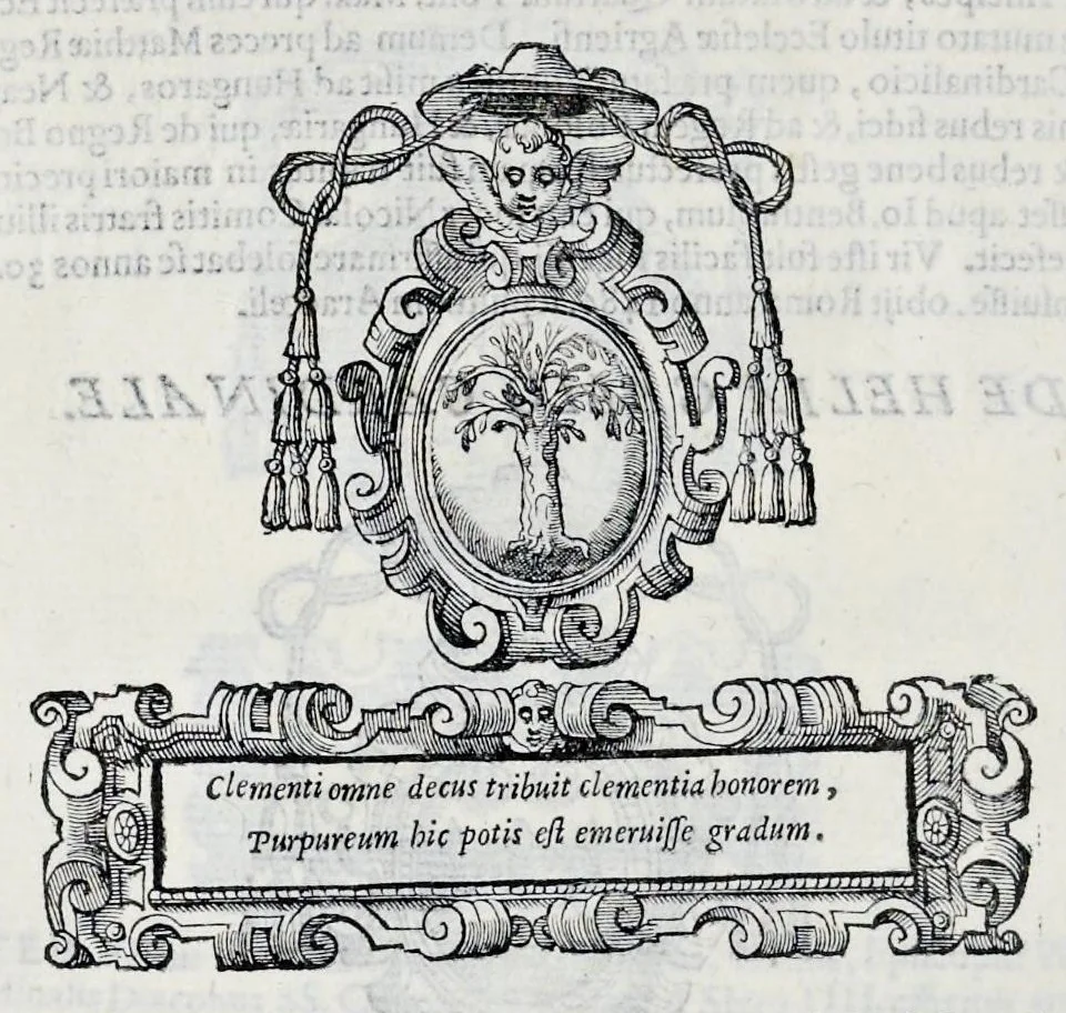 An illustration from Historiarvm seraphicae religionis libri tres, seriem temporum continentes, quibus breui explicantur fundamenta, uniuersiq[ue] ordinis amplificatio, gradus, et instituta; nec non uiri scientia, uirtutibus, et fama praeclari, 1586, leaf 507