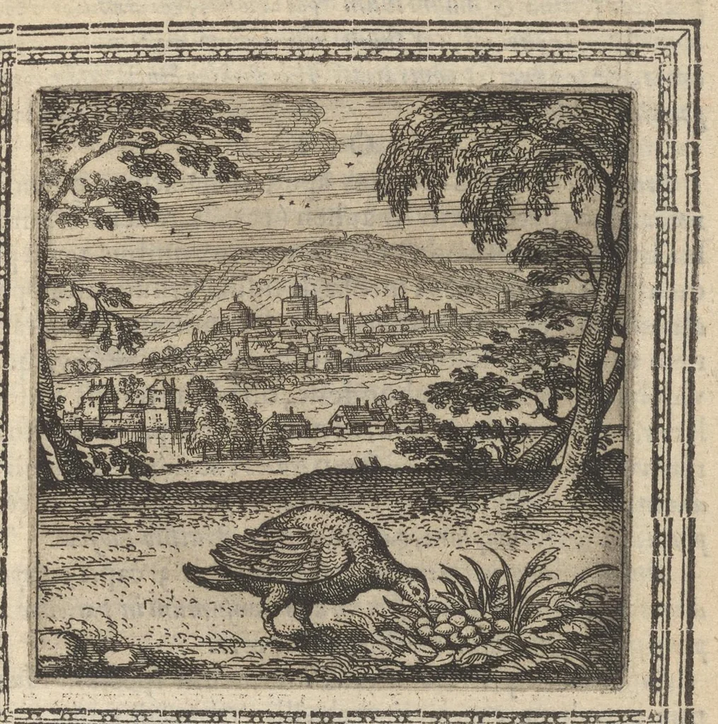 An illustration from Tou hagiou patros hēmōn E[p]iphaniou, episkopou Konstanteias Kyprou, Eis ton physiologon, tou autou Eis ta baia logos = Sancti patris nostri Epiphanii, Episcopi Constantiae Cypri Ad physiologvm : eiusdem In die festo Palmarum sermo, 1588, leaf 60