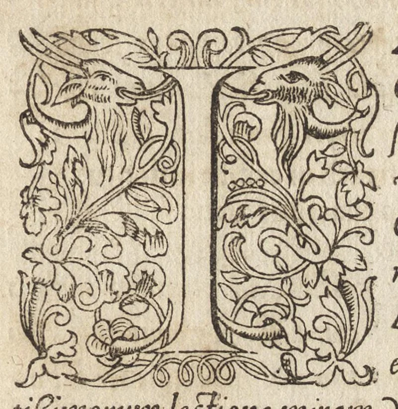 An illustration from Avstrasiae reges et dvces epigrammatis, 1591, leaf 6