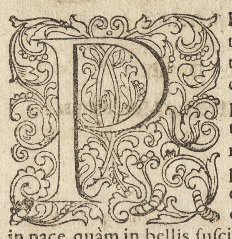 An illustration from Avstrasiae reges et dvces epigrammatis, 1591, leaf 9