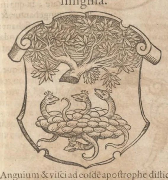 An illustration from Catalogvs gloriae mvndi D. Bartholomaei Cassanaei, Bvrgvndi, apvd Aqvas Sextias in Senatv decvriae praesidis, ac viri clarissimi : in qvo mvlta praeclara de praerogativis, praeeminentijs, maioritate, praestantijs, & excellentijs, continentur ... : opvs ... in XII. libros diuisum, nvnc denvo accvratissime emendatvm ac novis figvris elegantissime illustratum, ita vt facile omnes caeteras editiones antecellere possit, 1579, leaf 126