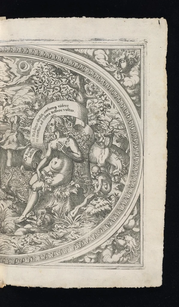 An illustration from Catalogvs gloriae mvndi D. Bartholomaei Cassanaei, Bvrgvndi, apvd Aqvas Sextias in Senatv decvriae praesidis, ac viri clarissimi : in qvo mvlta praeclara de praerogativis, praeeminentijs, maioritate, praestantijs, & excellentijs, continentur ... : opvs ... in XII. libros diuisum, nvnc denvo accvratissime emendatvm ac novis figvris elegantissime illustratum, ita vt facile omnes caeteras editiones antecellere possit, 1579, leaf 72