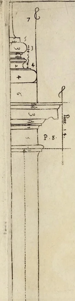 An illustration from Regola delli cinqve ordini d'architettvra, 1582, leaf 56