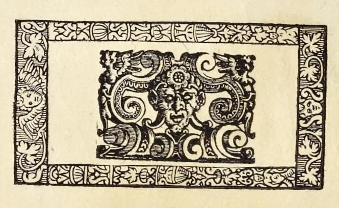 An illustration from Regola delli cinqve ordini d'architettvra, 1582, leaf 8