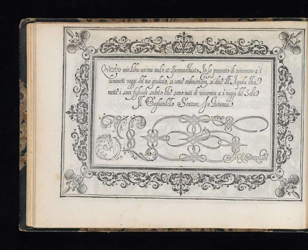 An illustration from Soprascritte di lettere in forma cancelleresca, corsiva, appartenenti ad ogni grado di persona / di Salvadore Gagliardelli scrittore in Fiorenza ; date in luce in tal carattero per comune vtilità de gli studiosi della buona forma dello scriuere, per esercitarsi nelle accomodate abbreuiature, ne' tratti diuersi, nelle variate maiuscole, che in esso sono, cosi nello scritto, come anco nel modo del dire di esse soprascritte ; con la tauola per ordine, alla quale ciascuno ricorrerà, perche in essa si dichiarano particolarmente le soprascritte, che si contengono in questo libro ; con l'aggiunta di questa [16-mm. blank] stampa, come à piè della Tauola si dice, 1583, leaf 33