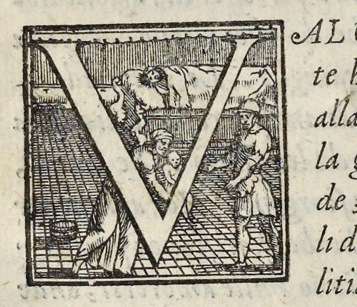 An illustration from Lettere d'Isabella Andreini padovana, comica gelosa, et academica intenta : nominata l'accesa, 1612, leaf 169