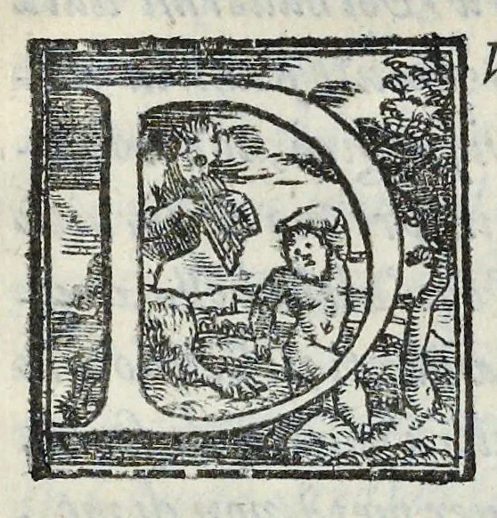 An illustration from Lettere d'Isabella Andreini padovana, comica gelosa, et academica intenta : nominata l'accesa, 1612, leaf 310