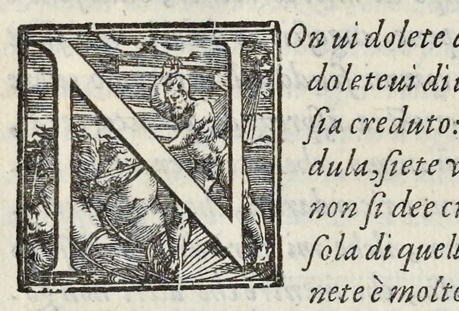 An illustration from Lettere d'Isabella Andreini padovana, comica gelosa, et academica intenta : nominata l'accesa, 1612, leaf 313