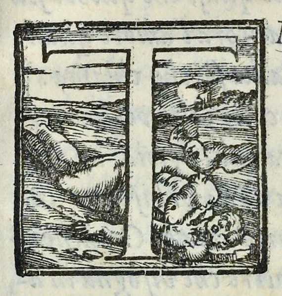 An illustration from Lettere d'Isabella Andreini padovana, comica gelosa, et academica intenta : nominata l'accesa, 1612, leaf 320