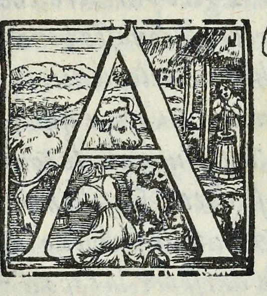 An illustration from Lettere d'Isabella Andreini padovana, comica gelosa, et academica intenta : nominata l'accesa, 1612, leaf 324