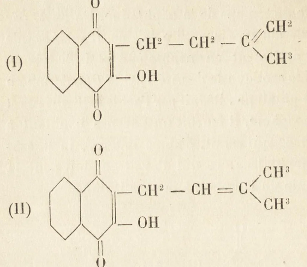An illustration from Les plantes tinctoriales et leurs principes colorants, 1901, leaf 137