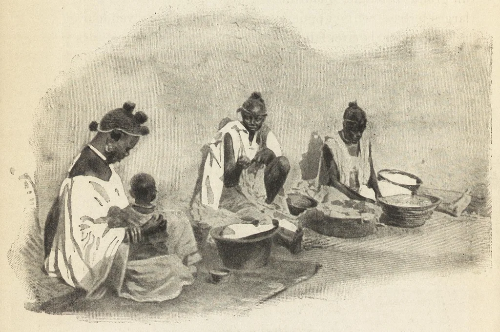 An illustration from Tombouctou la mystérieuse, 1897, leaf 215