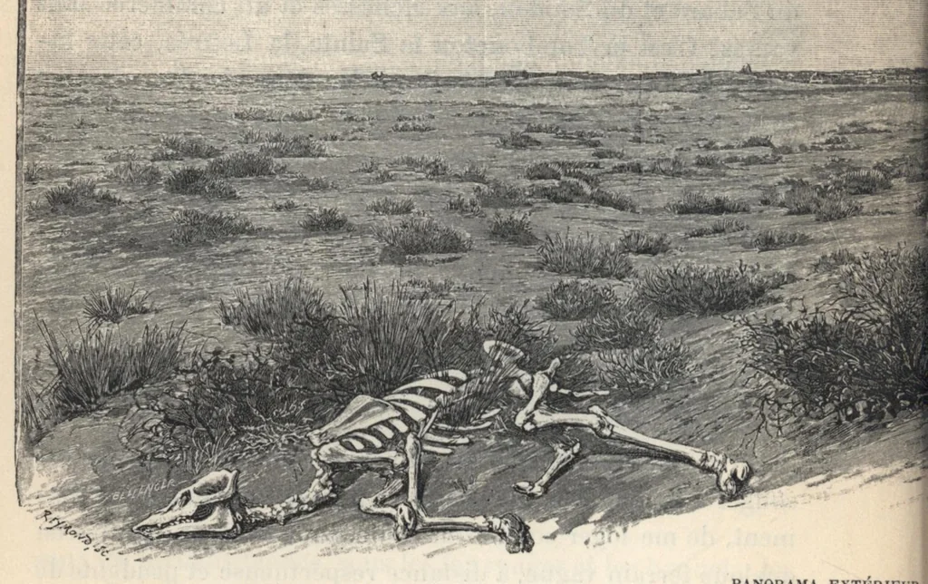 An illustration from Tombouctou la mystérieuse, 1897, leaf 261