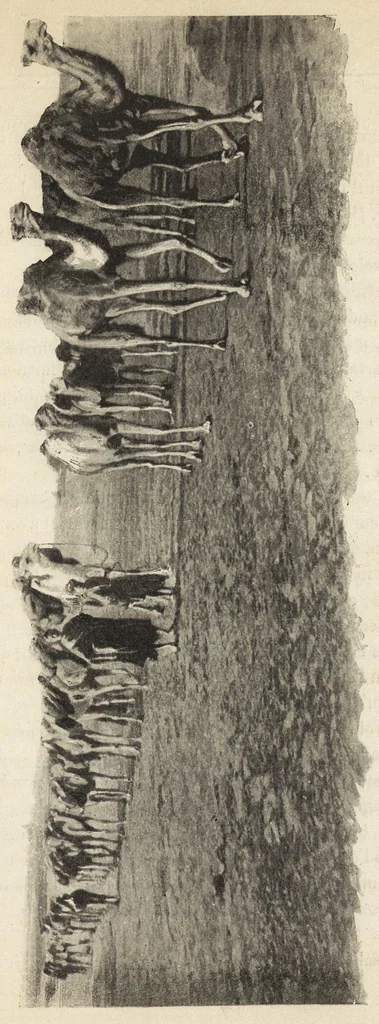 An illustration from Tombouctou la mystérieuse, 1897, leaf 296