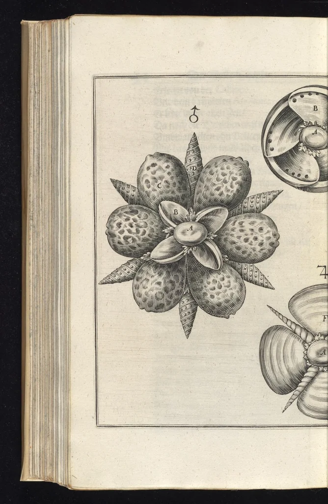 An illustration from Architectura civilis, das ist, Eigentlich Beschreibung wie Ma[nn] nach bester Form vnd gerechter Regul ..., 1628, leaf 139