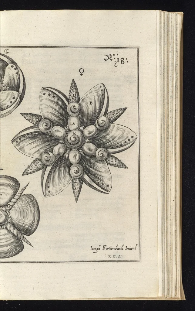 An illustration from Architectura civilis, das ist, Eigentlich Beschreibung wie Ma[nn] nach bester Form vnd gerechter Regul ..., 1628, leaf 140