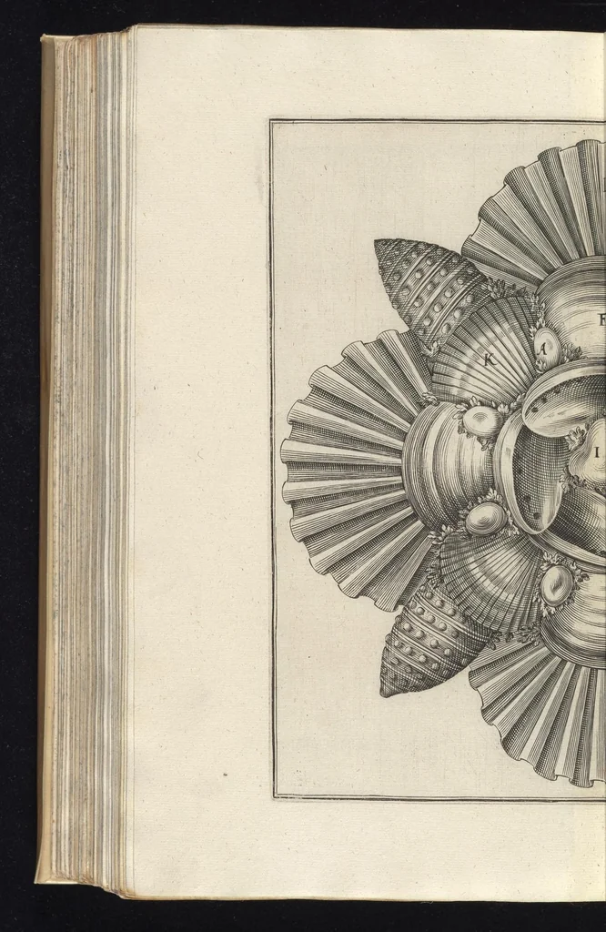 An illustration from Architectura civilis, das ist, Eigentlich Beschreibung wie Ma[nn] nach bester Form vnd gerechter Regul ..., 1628, leaf 149