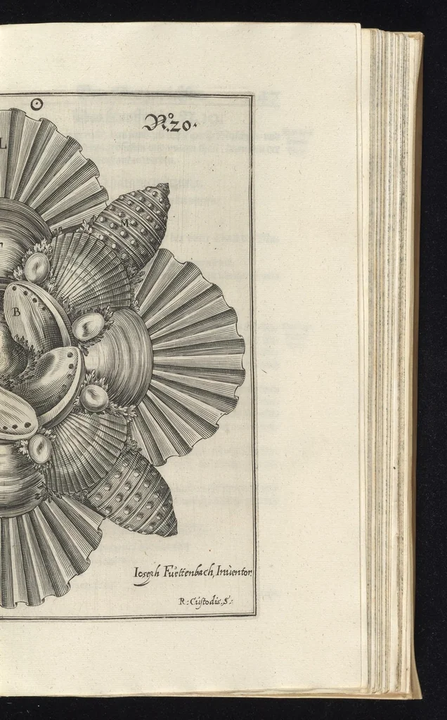 An illustration from Architectura civilis, das ist, Eigentlich Beschreibung wie Ma[nn] nach bester Form vnd gerechter Regul ..., 1628, leaf 150