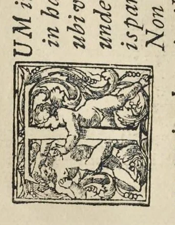 An illustration from Perspectiva pictorum et architectorum, 1693, leaf 37
