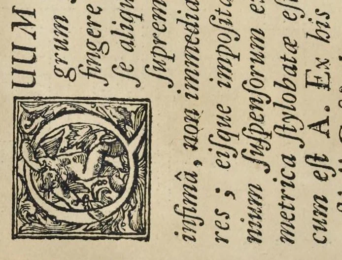 An illustration from Perspectiva pictorum et architectorum, 1693, leaf 41