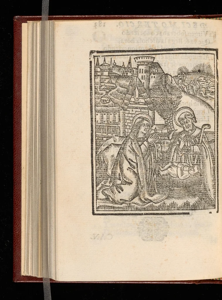 An illustration from Vida, excelencias, y muerte del gloriosissimo patriarca y esposo de Nuestra Señora San Ioseph, 1612, leaf 417