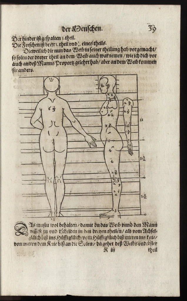 An illustration from Dess Circkelss vnd Richtscheyts, auch der Perspectiua, vnd Proportion der Menschen vnd Rosse, kurtze, doch gründtliche Vnderweisung, dess rechten gebrauchs : mit viel schönen Figuren, aller anfahenden Jugendt, vnnd andern liebhabern dieser Kunst, als Goldschmiden, Malern, Bildhauwern, Steinmetzen, Schreinern, [et]c. eigentlich fürgebildet, vormals im Truck nie gesehen, sonder jetzunder erstmals von neuwem an Tag gegeben, 1618, leaf 102