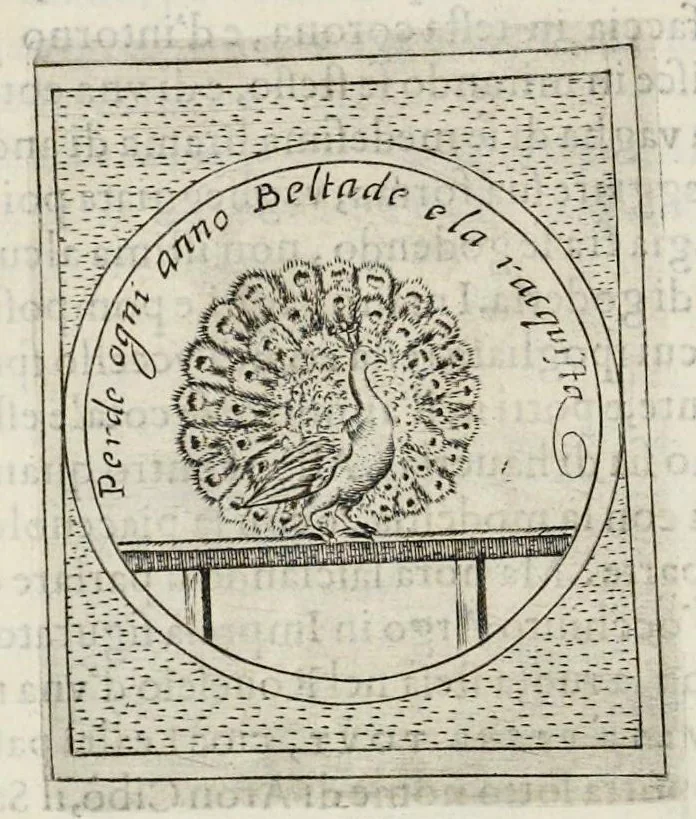 An illustration from Teatro d'imprese, 1623, leaf 1043