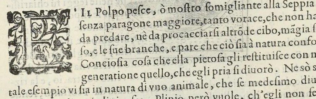 An illustration from Teatro d'imprese, 1623, leaf 1077