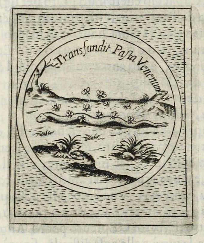 An illustration from Teatro d'imprese, 1623, leaf 1129