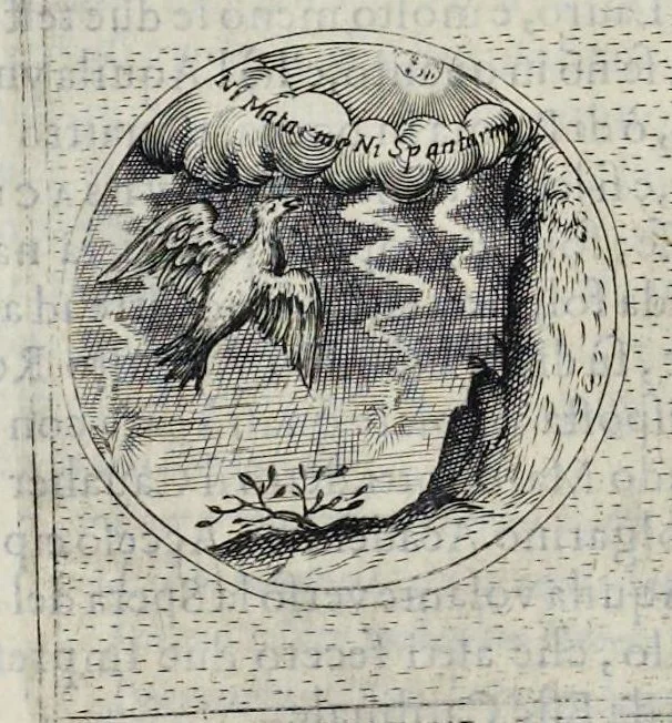 An illustration from Teatro d'imprese, 1623, leaf 579