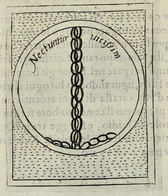 An illustration from Teatro d'imprese, 1623, leaf 693