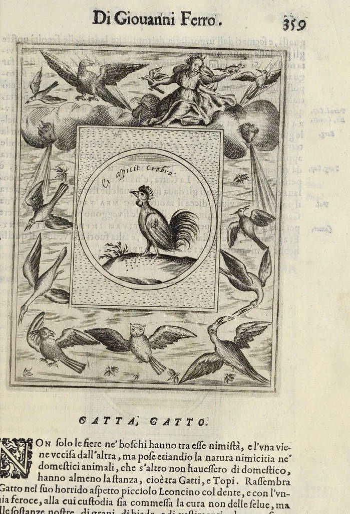 An illustration from Teatro d'imprese, 1623, leaf 856