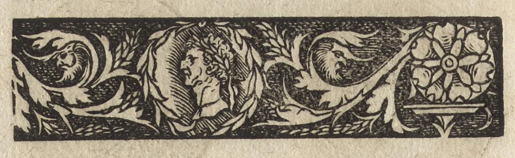 An illustration from Imperatorum et Caesarum vitæ : cum imaginibus ad uiuam effigiem expressis, 1534, leaf 135