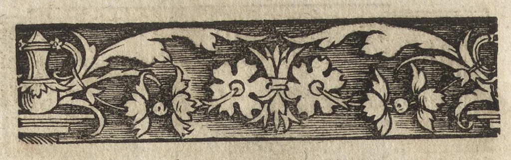 An illustration from Imperatorum et Caesarum vitæ : cum imaginibus ad uiuam effigiem expressis, 1534, leaf 139