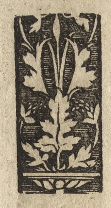 An illustration from Imperatorum et Caesarum vitæ : cum imaginibus ad uiuam effigiem expressis, 1534, leaf 161