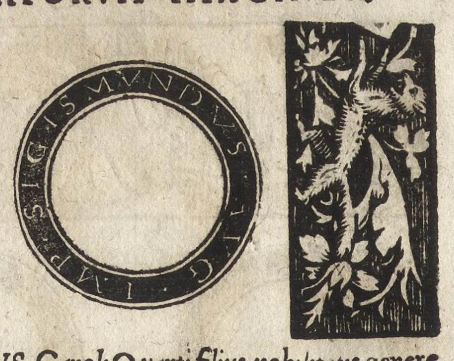 An illustration from Imperatorum et Caesarum vitæ : cum imaginibus ad uiuam effigiem expressis, 1534, leaf 189