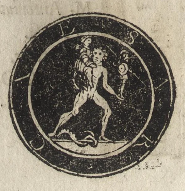 An illustration from Imperatorum et Caesarum vitæ : cum imaginibus ad uiuam effigiem expressis, 1534, leaf 217