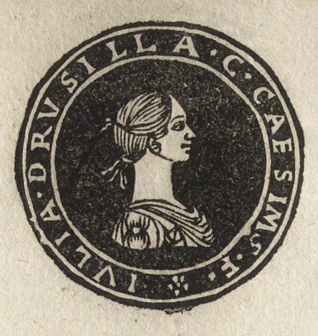 An illustration from Imperatorum et Caesarum vitæ : cum imaginibus ad uiuam effigiem expressis, 1534, leaf 25