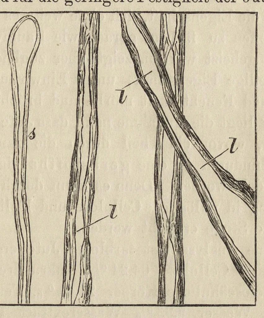 An illustration from Das Färben und Bleichen : von Baumwolle, Wolle, Seide, Jute, Leinen, etc : in unversponnenen Zustande, al Garn und al Stückware : Praktisches Hilfs- und Lehrbuch bearbeitet für Färber und Färberei-Chemiker, sowie zum Unterricht in Fachschulen, mit zahlreichen Maschinenzeichnungen, 1889, leaf 38